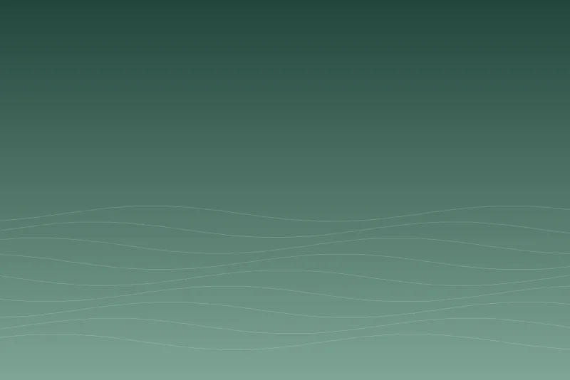 Kartepe Çam Evi – genel görünüm